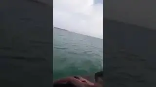 Insolites...des forces espagnoles aident des clandestins marocains à rejoindre l'Espagne