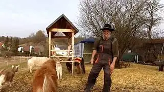 Pferde,Ziegen und ich