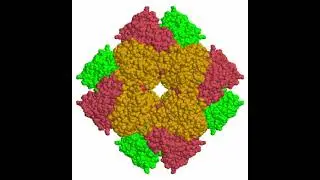RuBisCO: The World's First Enzyme (Full Video)