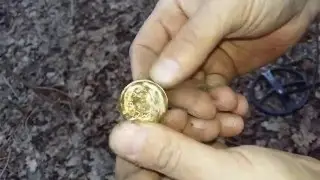 Кладоискательство в Сокольниках. Коп монет в парке Москвы металлоискателем DEUS