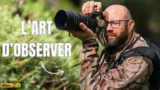 L'Art d'Observer : Photographie dans les Bois avec un Nikon Z6 #photography  #nature #photonature