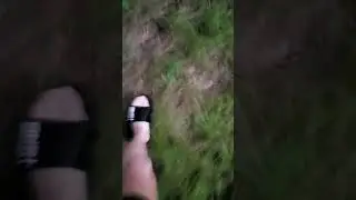 Walking Stock Footage