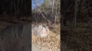 Охотимся с сыном на мамонта