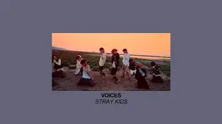 Voices - Stray Kids (slowed)