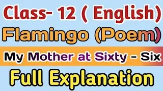 Mother at Sixty Six Class 12 Summary | Mother at 66 Class 12 | Extra Class