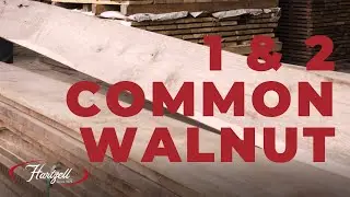 Hartzell Hardwoods Product Highlight: 1 & 2 Common Walnut