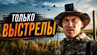 Охота на утку. Только выстрелы. Осень 2023 г.