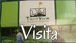 Visita a tierra verde