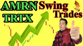 AMRN , TRTX Swing Trades for April