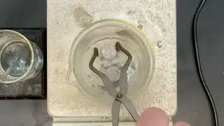 Golden Penny Demonstration Step By Step