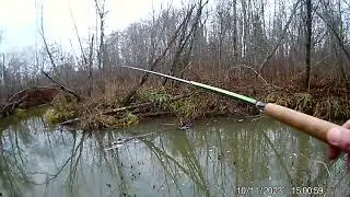 Рыба ушла на дальний кордон