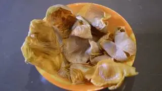 Chicken gizzard membrane. What it's used for and how to prepare it.