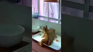 Быстро и вкусно 