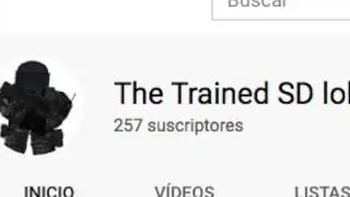 250+ Subs