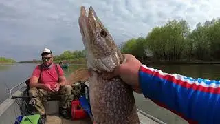 АХТУБА!!! - ОТЛИЧНАЯ РЫБАЛКА!!! (здесь скучать не придется.... )