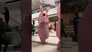 Adobong Talong Vlog