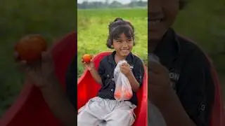 🤓Aha🍒tmatar🍒bade mjedar 😂#shortfeed #funny #trending #comedy #viralshort #youtubeshorts