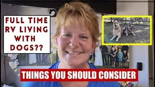 Working with Animals: Considerations for RV Living with Dogs 🐶 🚐