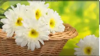 Стоит вкладывать или нет ?