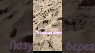 как же логает... извините #animegames