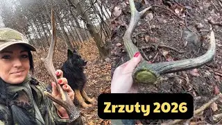 Deer Drops / 24/02/2026 #forest #nature #drops2026 #wildlife #antlers #deer #antler