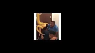 Best funny video in this planet | funny completion|baby funny