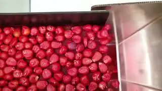 Seeds counting and packaging machine