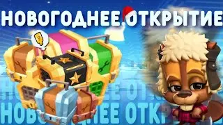 New Year's Eve opening of a bunch of chests in Zooba! Completed the Paw Trail in two days and ope...