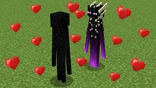 Enderman & Enderwoman