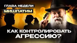 Когда и сколько нужно возмещать ущерб? Рав. Шмуэль Каминецкий о недельной главе Мишпатим | Менора