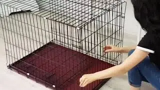 DOG PARADISE-обзор клетки