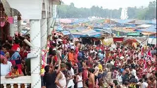 #MatuaMahaMela2023 উপলক্ষে শ্রীধাম ঠাকুরনগর ঠাকুরবাড়ির আকাশে বাতাসে শুধুই মধুর হরিনাম ধ্বনিত হচ্ছে