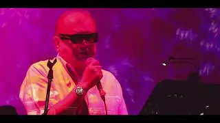 LA ALEGRÍA DE TU AMOR - LOS YORKS XXI - 2018