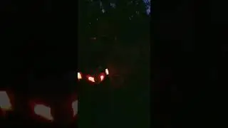 30 сентября 2022 г.