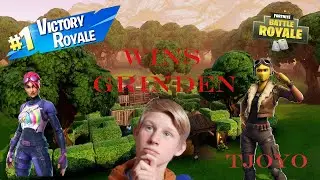 Fortnite op pc