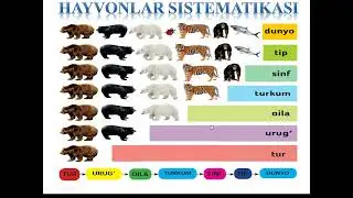 5-sinf 12-Mavzu: Hayvonot dunyosi (Fauna)