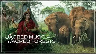 Sacred Music for Sacred Forests Concert 2024