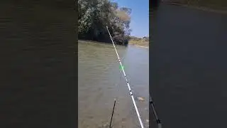Рыбалка река Барсучки