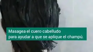 Paso a paso para el  uso de un champú sólido