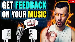 Live Music Reviews | All Genres Welcome 🎶 | (11/05/24)