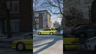 Weird! No Parking in Front of Your Own Driveway 