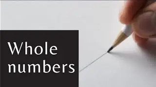 Whole numbers | Class 6 Exercise 2.1| Sindh Textbook board |