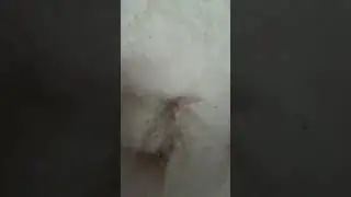 Образец ваты прима для одеял.