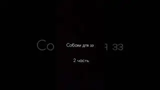 Собаки для зз! Вторая часть! #dog