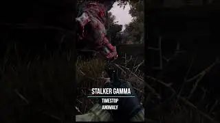 Stalker timestop 