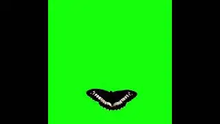 Butterfly With Love ❤️
