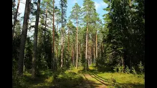№27 Гармонизация и настройка энергий Источника проходящих через человека
