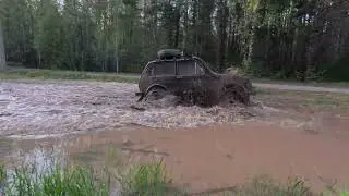 На нивах