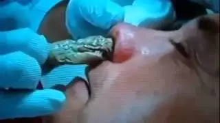 Мега сопля !!!