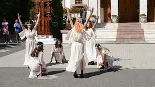 Bătălia pentru Singidava